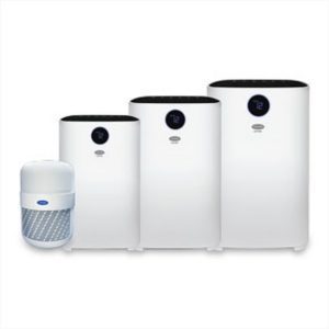 Airone